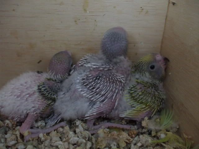 DSCF8564.jpg