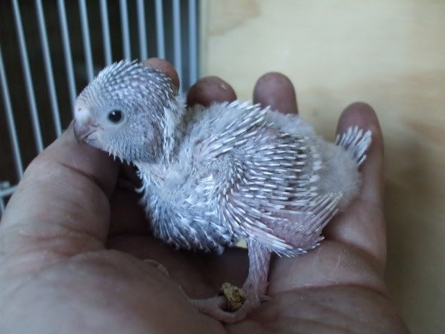 DSCF8573.jpg