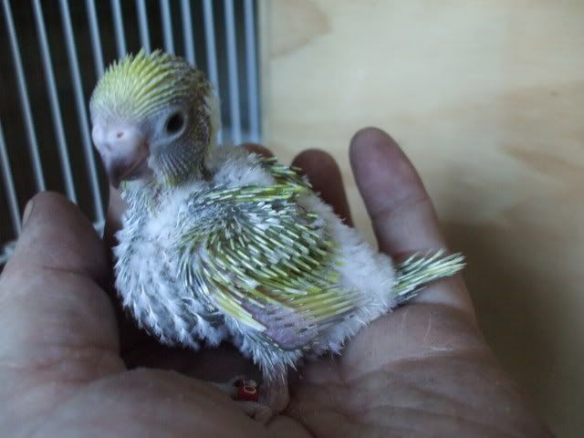 DSCF8575.jpg