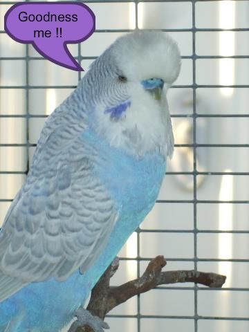 DSCF8594.jpg