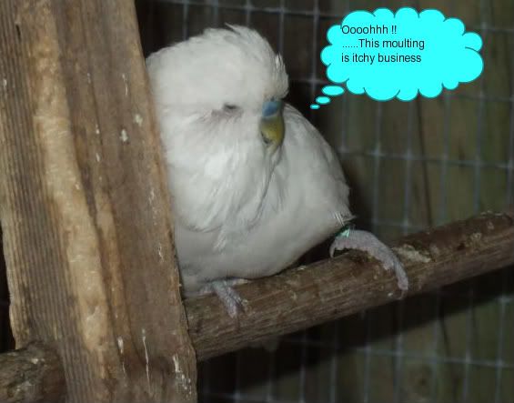 DSCF8617.jpg