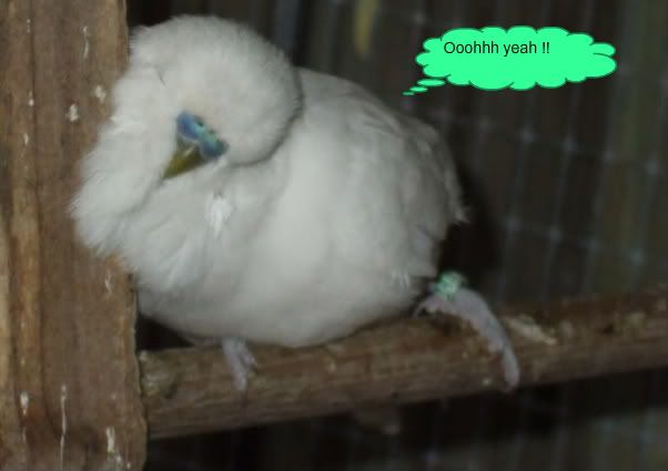 DSCF8618.jpg
