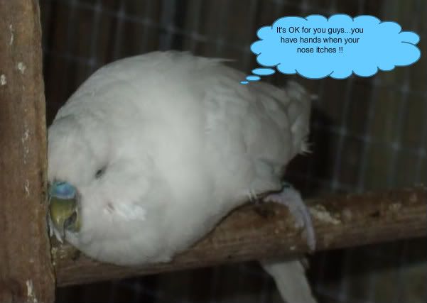 DSCF8619.jpg