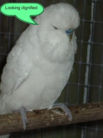 DSCF8622.jpg