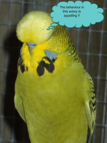 DSCF8624.jpg