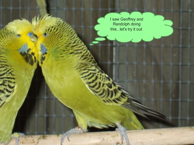 DSCF8626.jpg