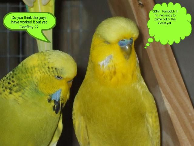 DSCF8629.jpg
