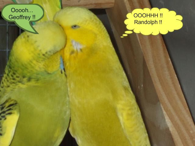 DSCF8630.jpg