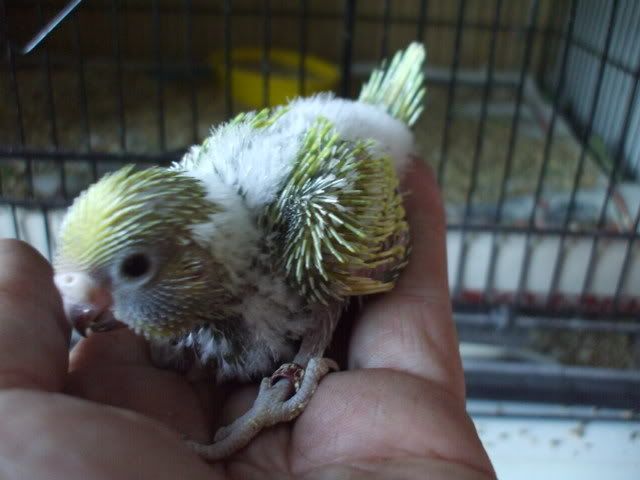 DSCF8657.jpg