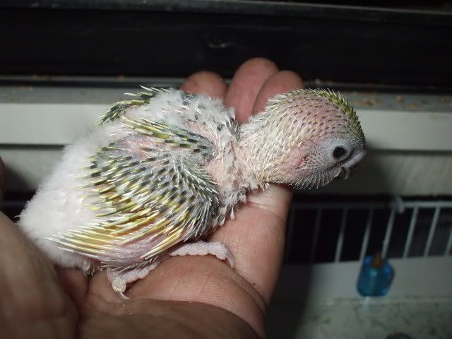 DSCF8673.jpg