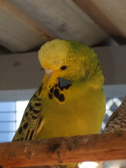 DSCF8721.jpg