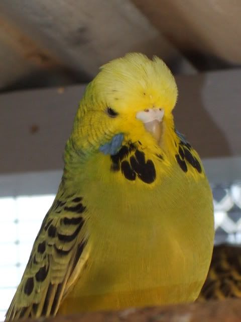 DSCF8722.jpg