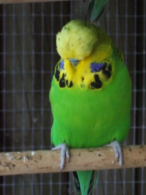 DSCF8850.jpg