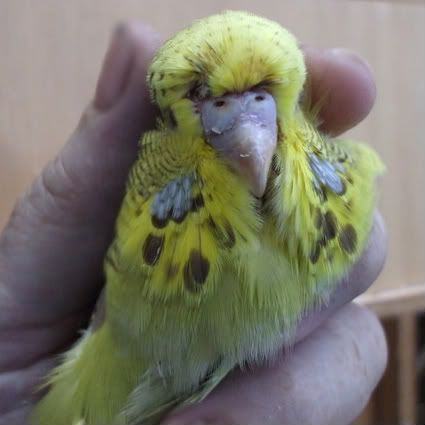 DSCF8869.jpg