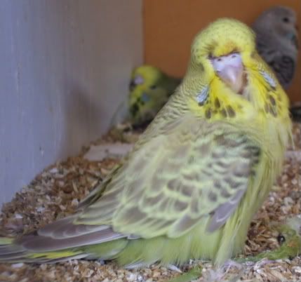 DSCF8873.jpg