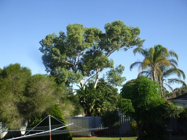 DSCF8932.jpg