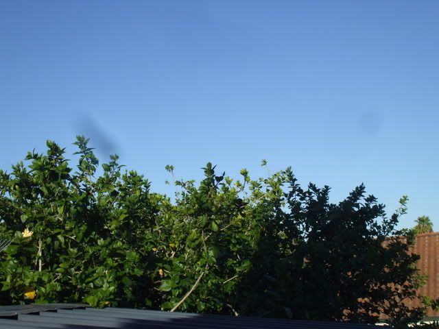 DSCF8934.jpg