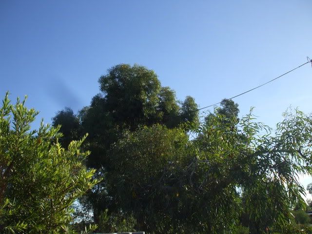 DSCF8939.jpg
