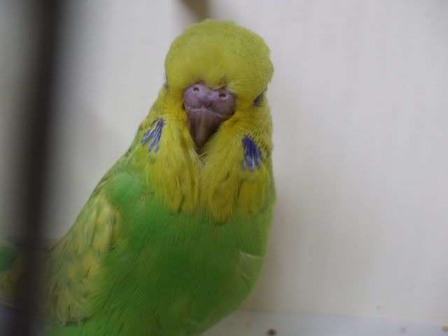 DSCF8953.jpg