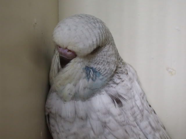 DSCF8961.jpg