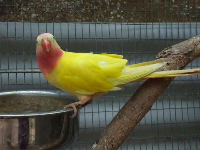 DSCF9035.jpg