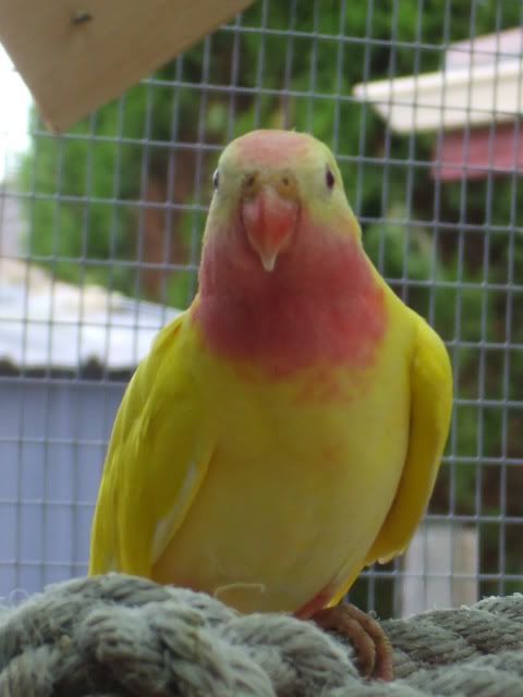 DSCF9046-1.jpg