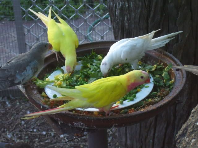 DSCF9108.jpg