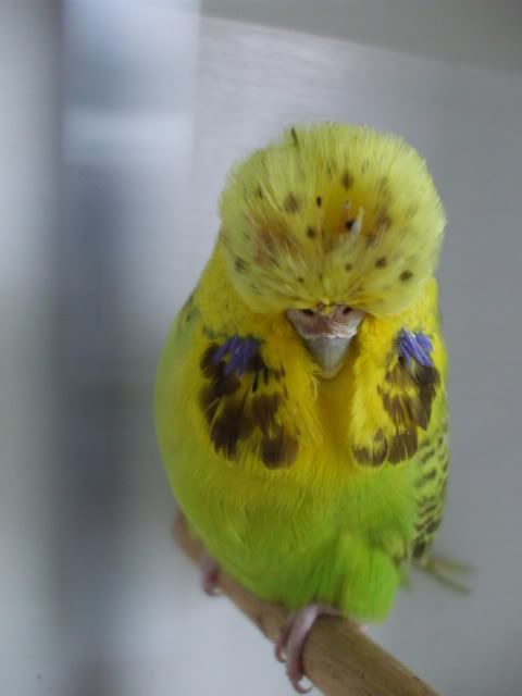 DSCF9325.jpg