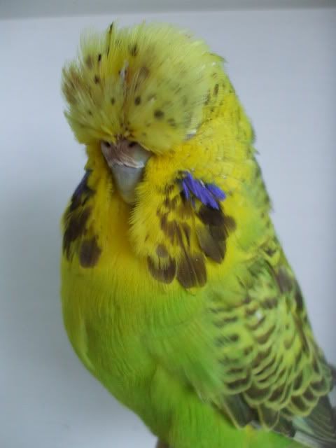 DSCF9328.jpg