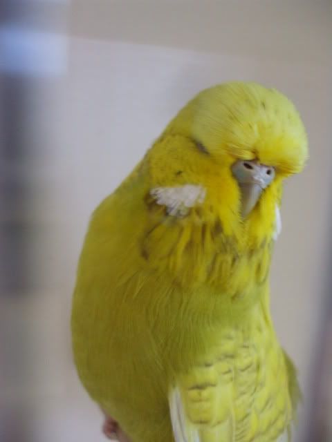 DSCF9392.jpg