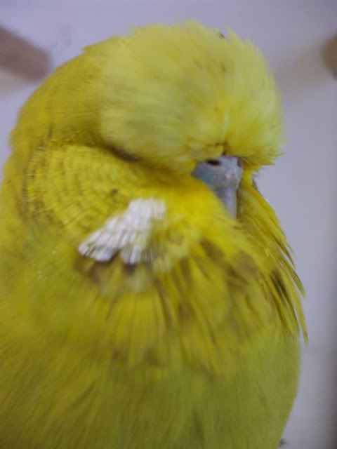 DSCF9417.jpg