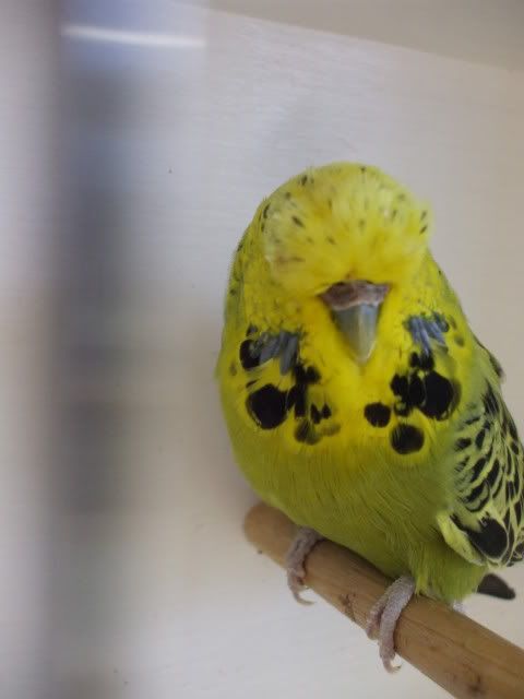 DSCF9431.jpg