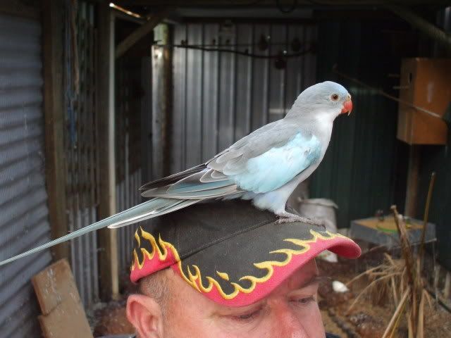 DSCF9655.jpg