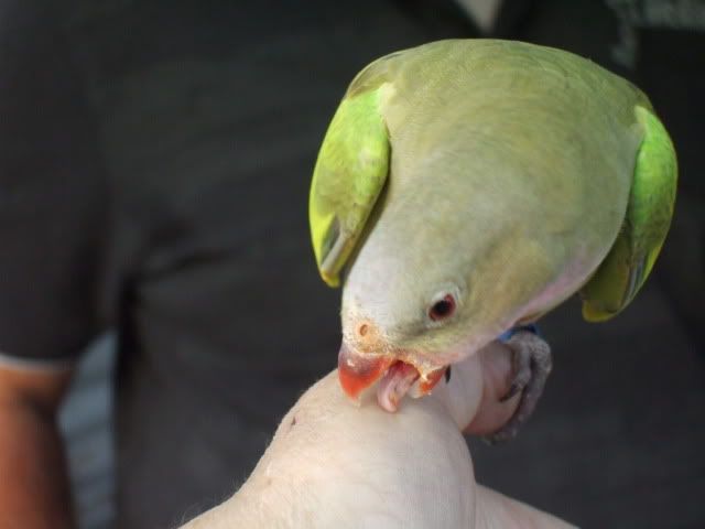 DSCF9669.jpg