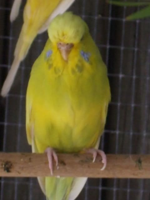 DSCF9695.jpg