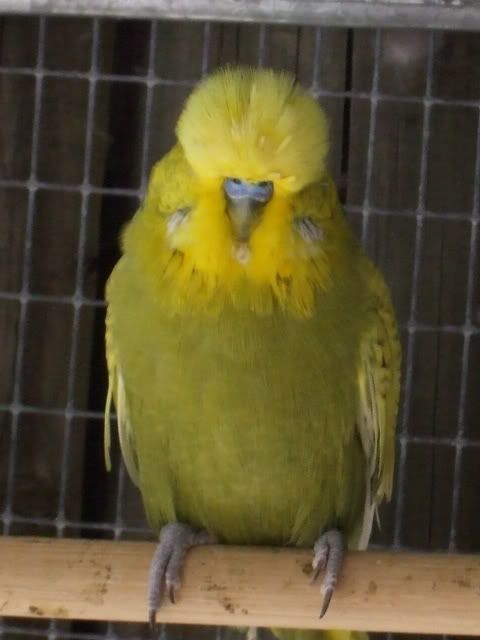 DSCF9700.jpg