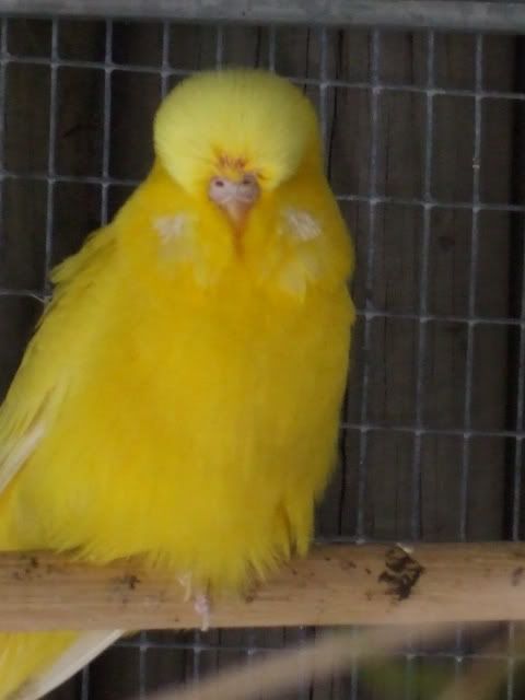 DSCF9702.jpg