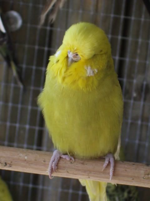 DSCF9704.jpg