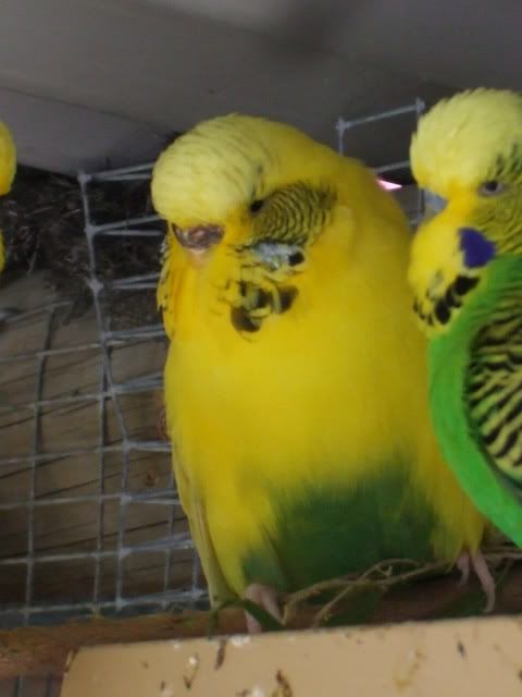 DSCF9707.jpg