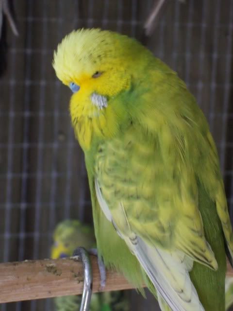 DSCF9715.jpg