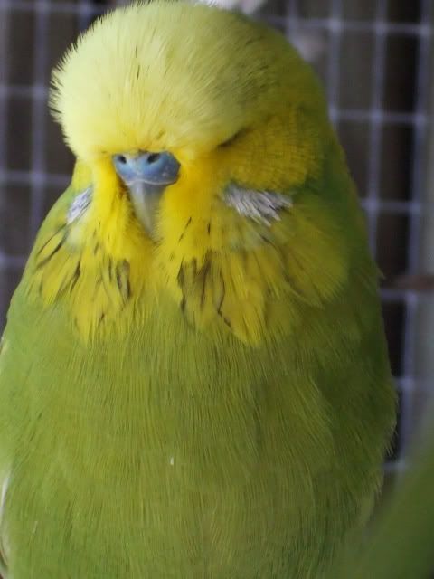 DSCF9727.jpg