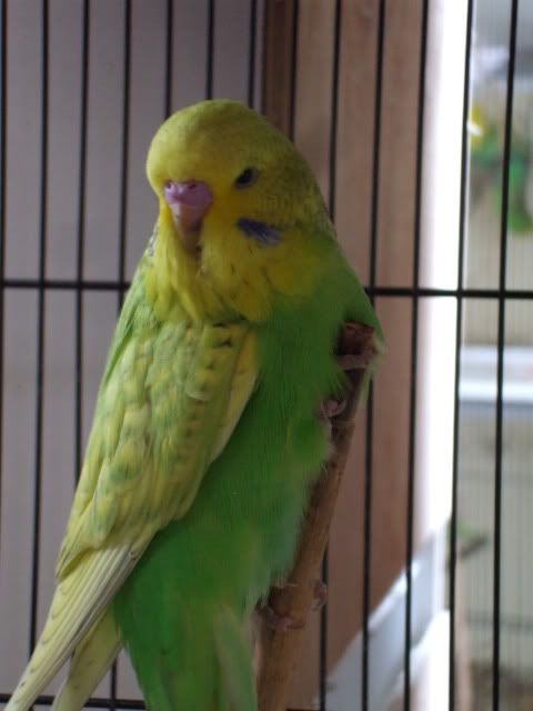 DSCF9792.jpg