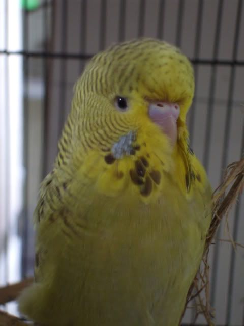 DSCF9795.jpg