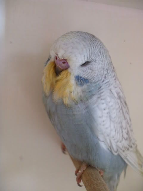 DSCF9827.jpg
