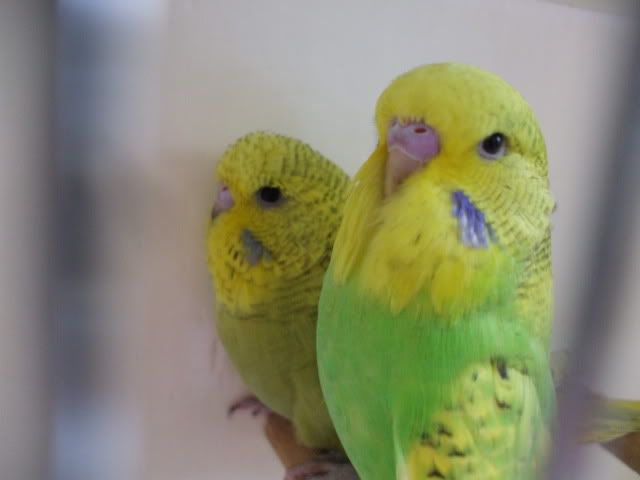 DSCF9856.jpg