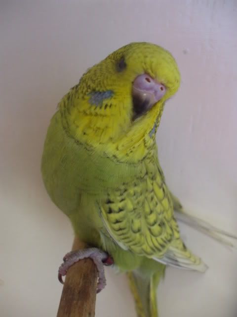 DSCF9861.jpg