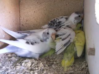 Feb010-1.jpg