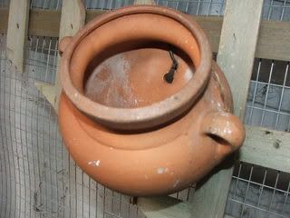 JULY07006.jpg