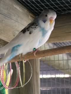 JUNE07009.jpg