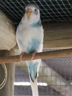 JUNE07010.jpg